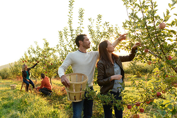 Reasons to Visit Gettysburg this October