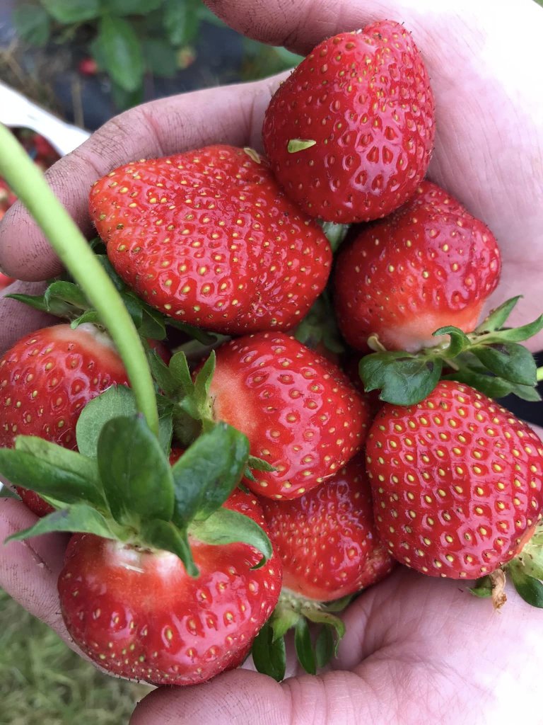 Agriculture Seasons in Adams County Agriculture Seasons in Adams County