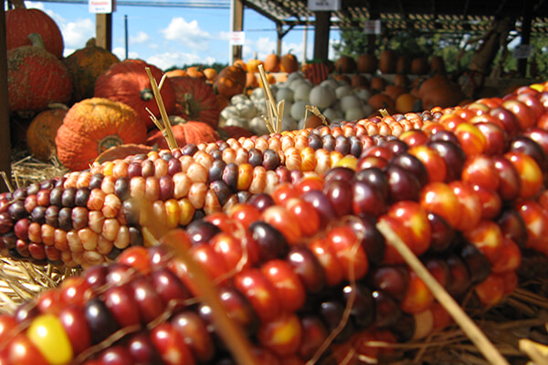 Reasons to Visit Gettysburg this October