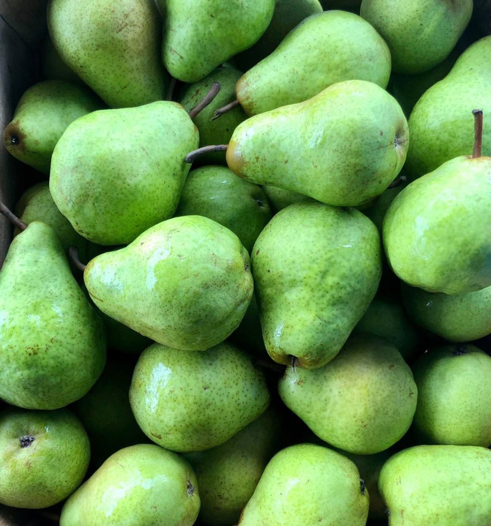 Agriculture Seasons in Adams County Agriculture Seasons in Adams County