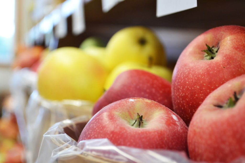 Agriculture Seasons in Adams County Agriculture Seasons in Adams County