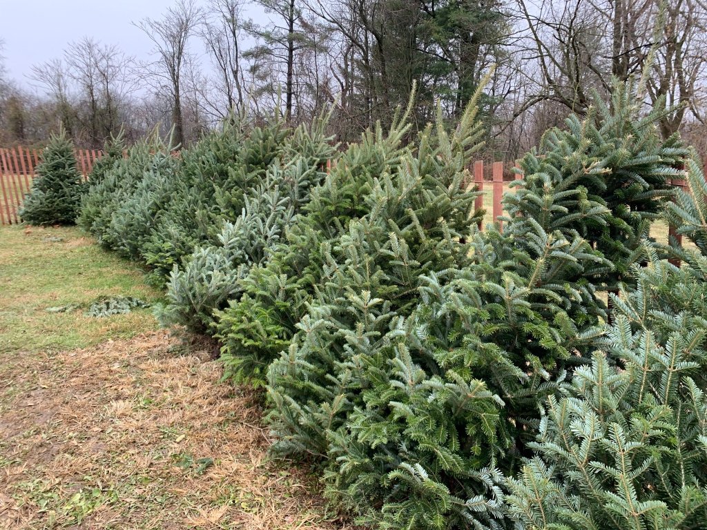 Agriculture Seasons in Adams County Agriculture Seasons in Adams County