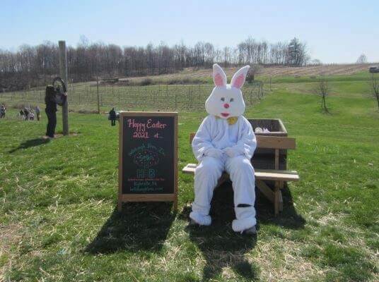 person dressed up as the Easter Bunny