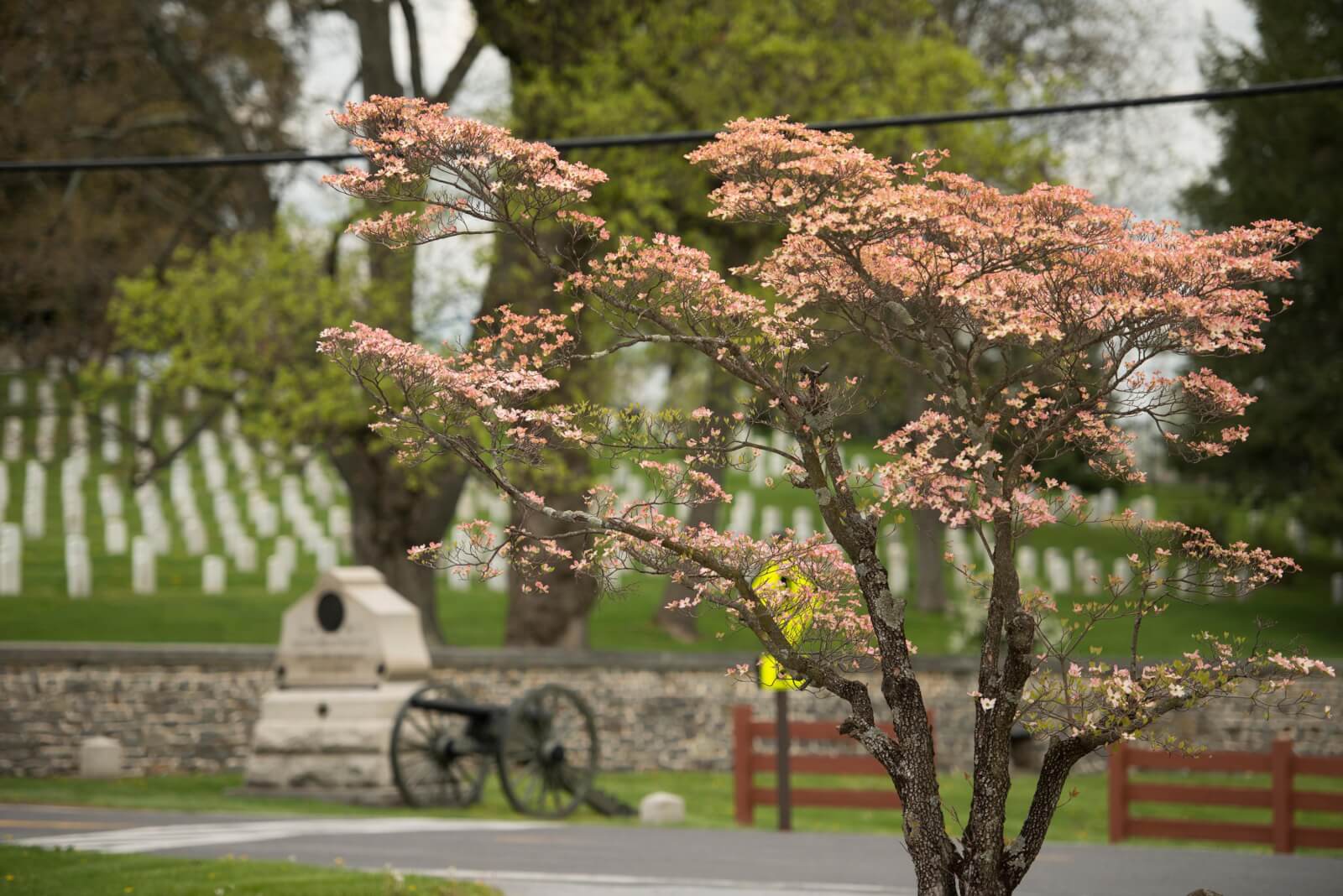 Experience Spring in Gettysburg, PA Destination Gettysburg