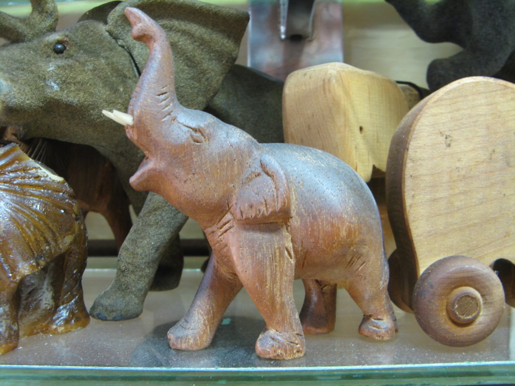 Elephant-Sized Sweet Surprise