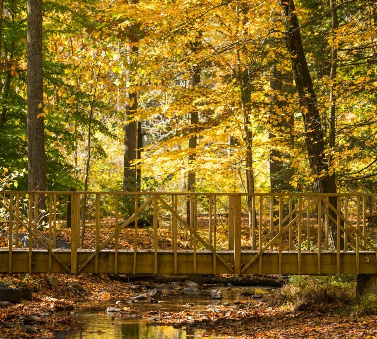 Summer in Gettysburg