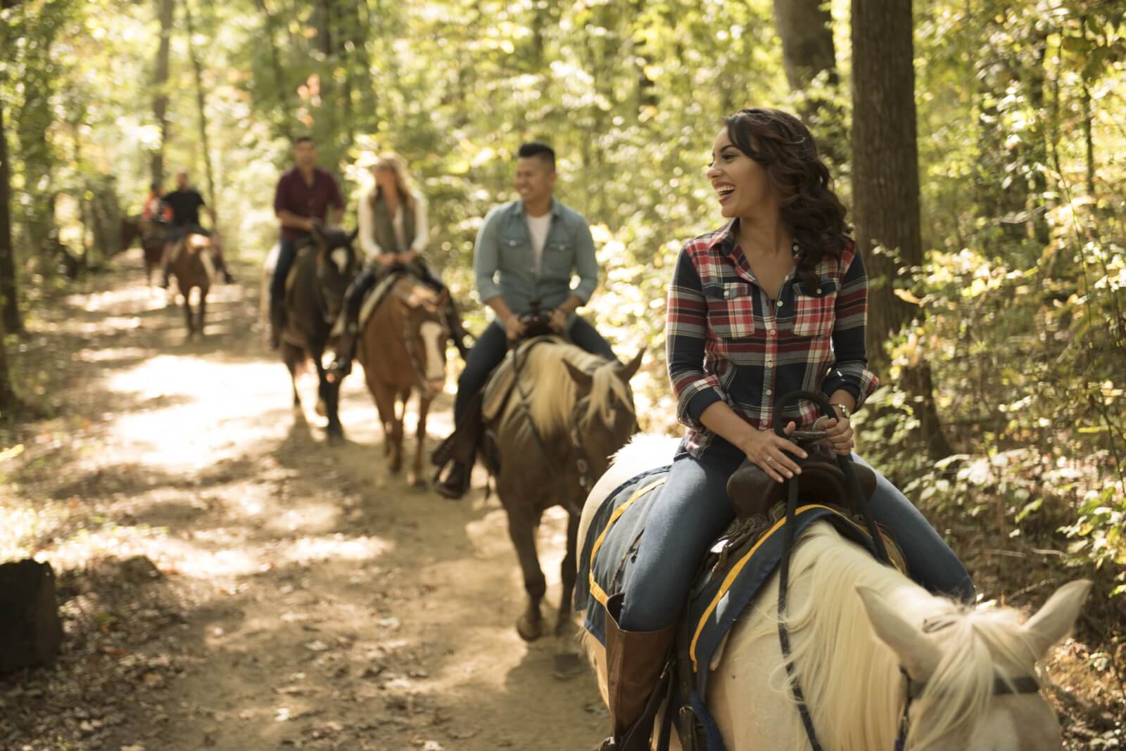 See Gettysburg from the Saddle: Horse Tours You’ll Never Forget