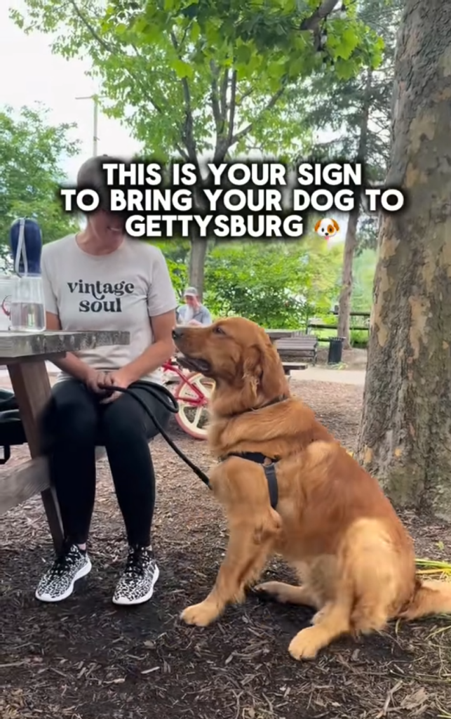 Summer in Gettysburg