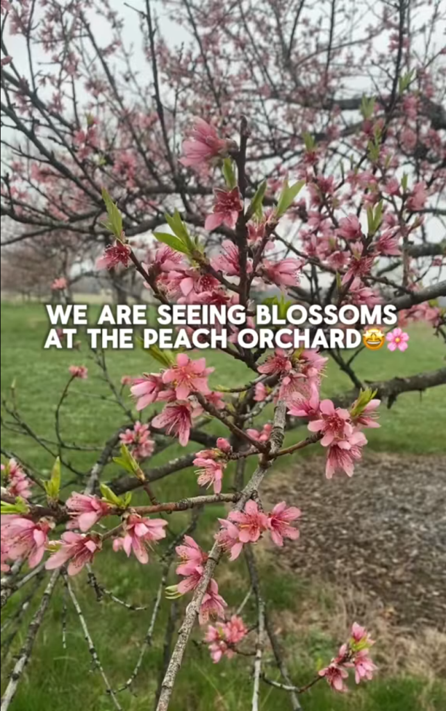 Spring in Gettysburg