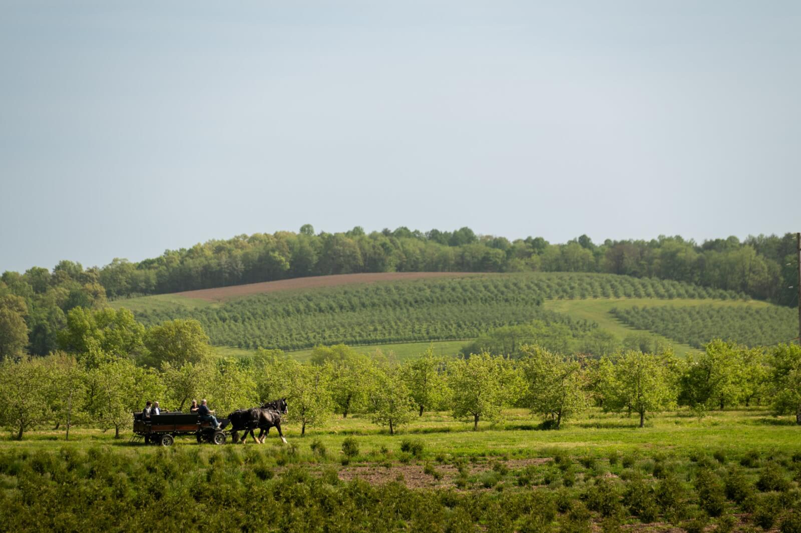See Gettysburg from the Saddle: Horse Tours You’ll Never Forget
