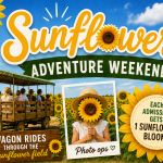 Sunflower Adventure Weekend