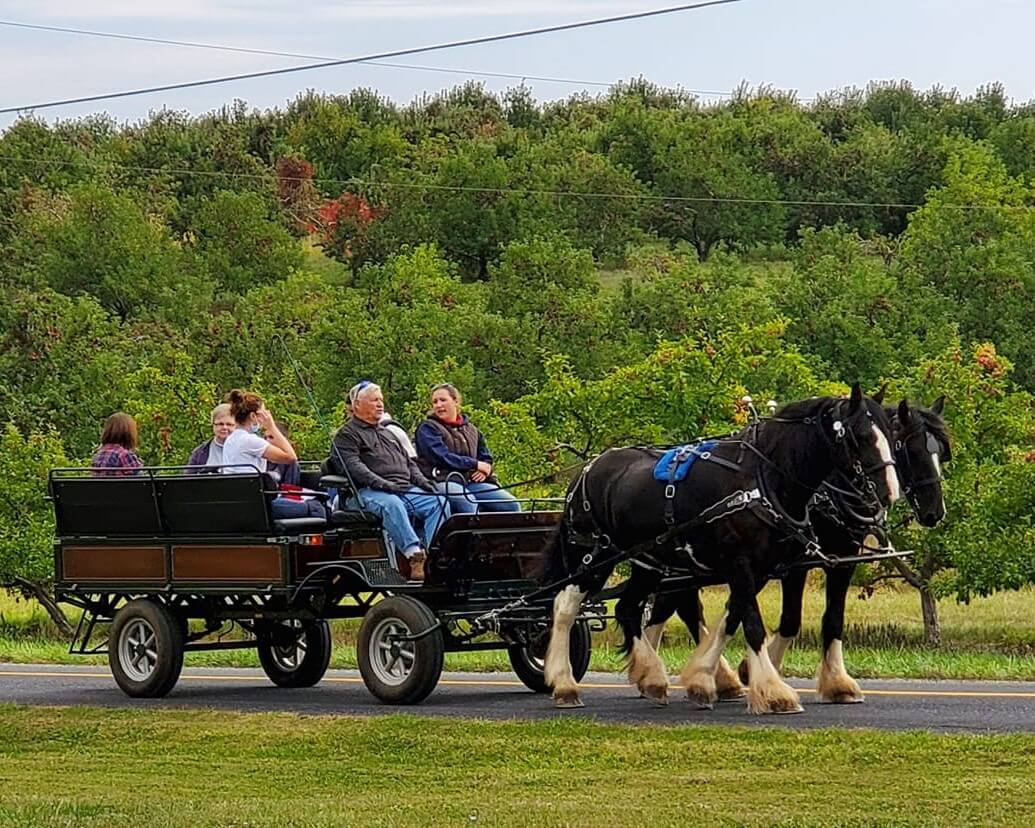 Silvershire Farm Horse Carriage and Wagon Rides Destination Gettysburg