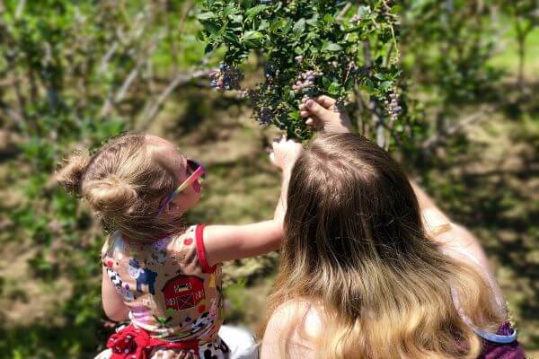 mother and child picking blueberries