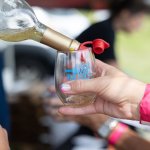 Gettysburg Wine & Music Festival