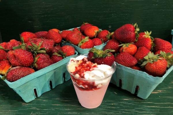 quarts of strawberries and a strawberry milkshake