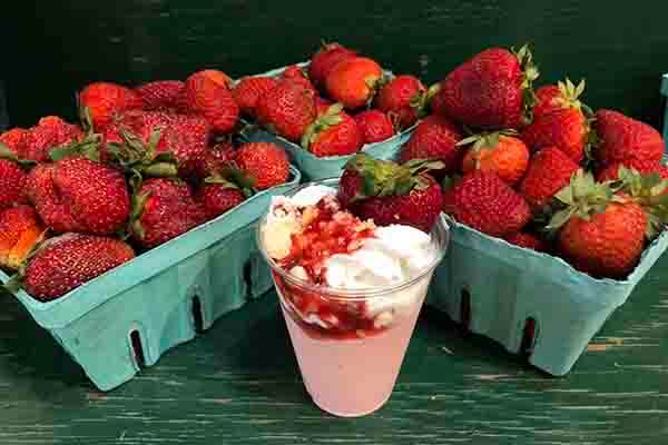 11th Annual Strawberry Festival