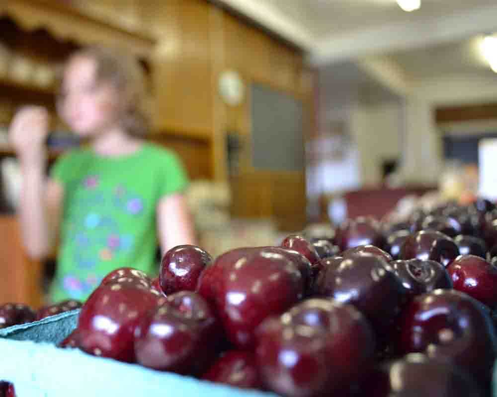 Boyer Nurseries & Orchards Destination Gettysburg